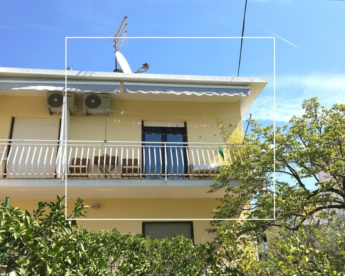 Apartment Elza 扎达尔 外观 照片